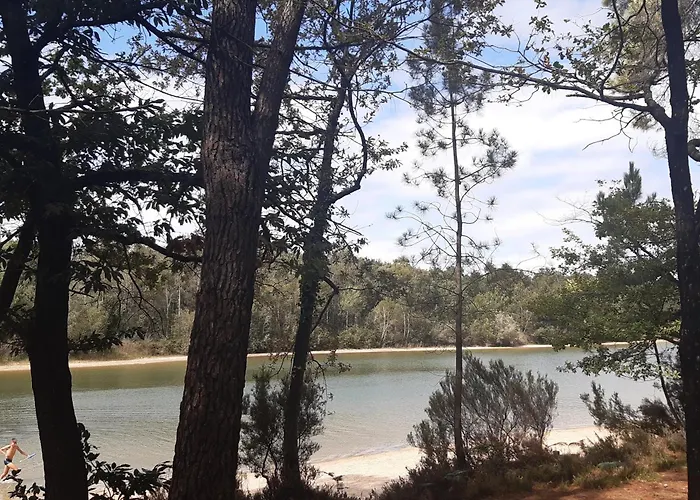 Douceur Angevine Lézigné