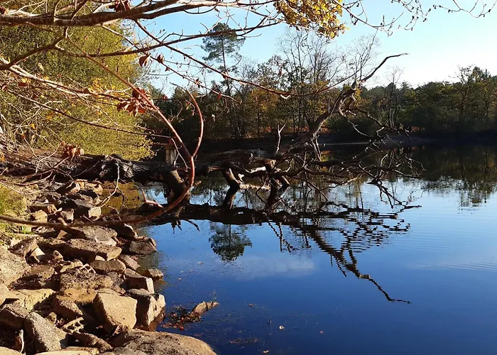 Douceur Angevine * Lézigné